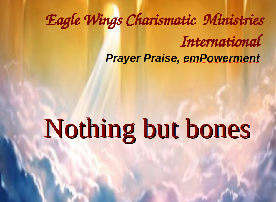 Nothing_but_Bones.jpeg