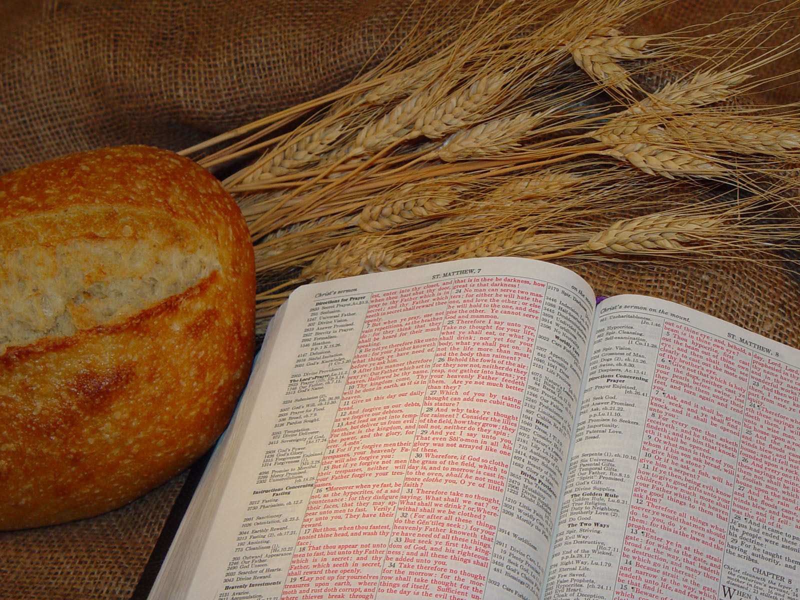 bread wheat bible